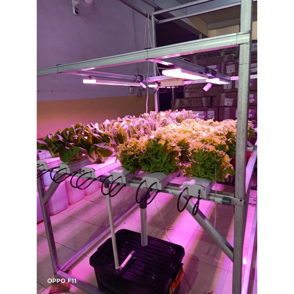 PAKET NFT MINI 30 LUBANG HIDROPONIK