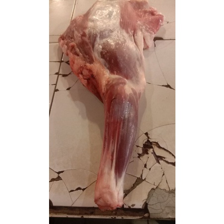

tulang daging kambing