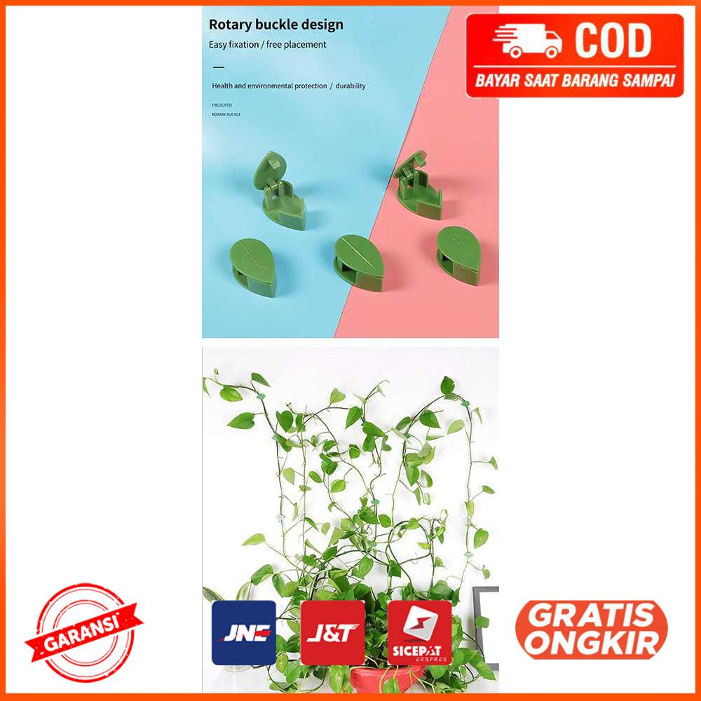 Klip Batang Tanaman Invisible Plan Vine Fixture 50 PCS