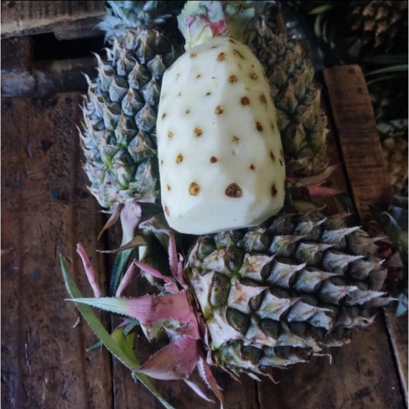 

Nanas Muda Hijau Kupas Fresh / 1 Pack