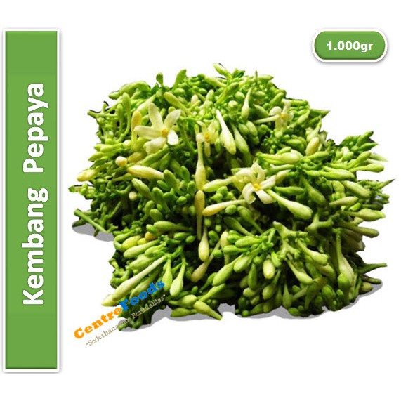 

Bunga Pepaya Fresh | Kembang Pepaya [ Harga Per KG ]