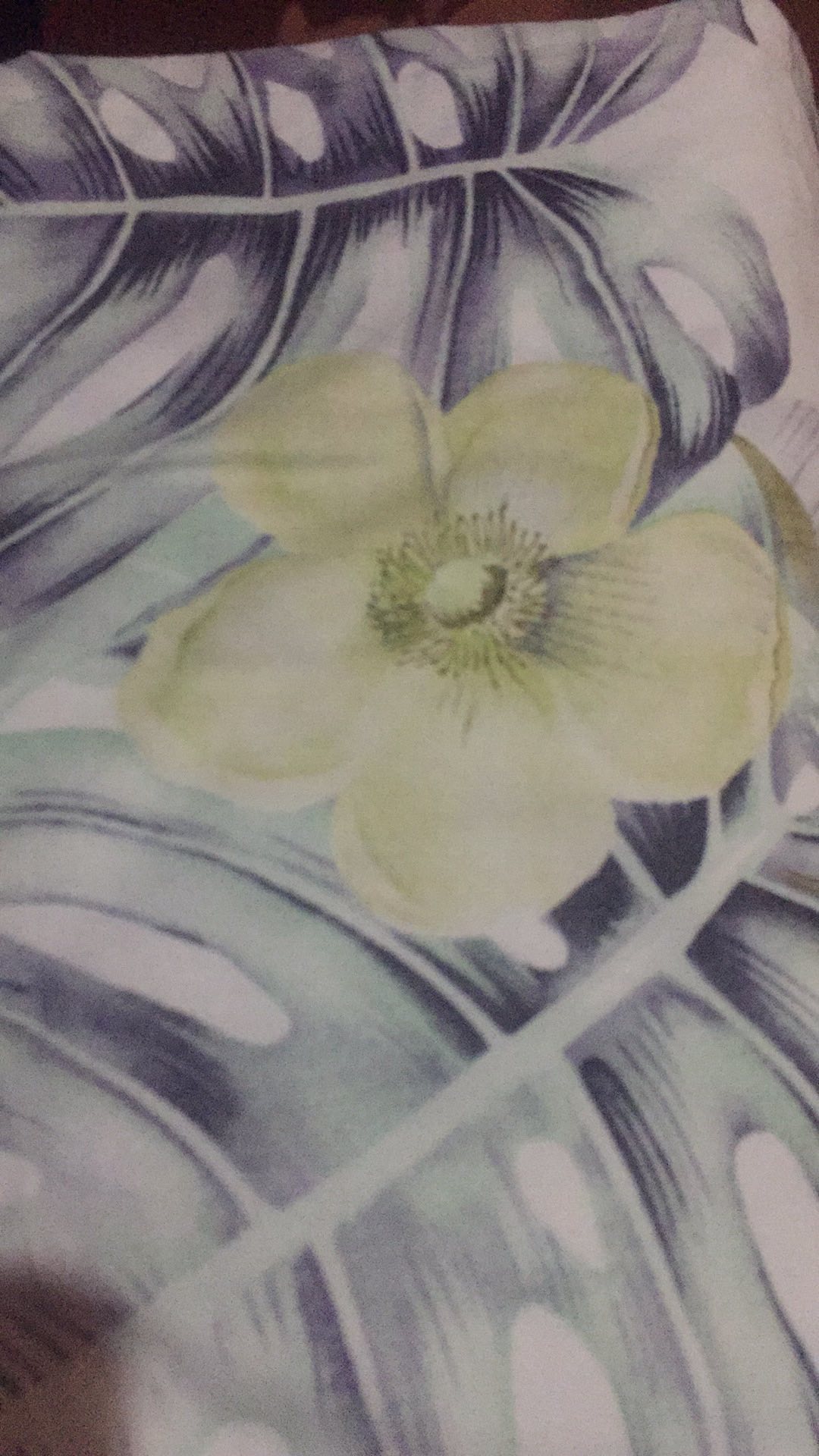 Sprei Katun Lokal Cvc Emma Montsera Hijau Kombinasi