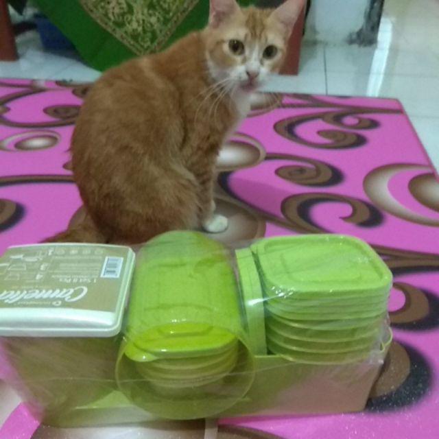 Promo 1 Kg Tempat Sendok Garpu Camelia Cutlery Holder Gratis 7 Toples Wadah Bumbu Dan Tempat Tisu