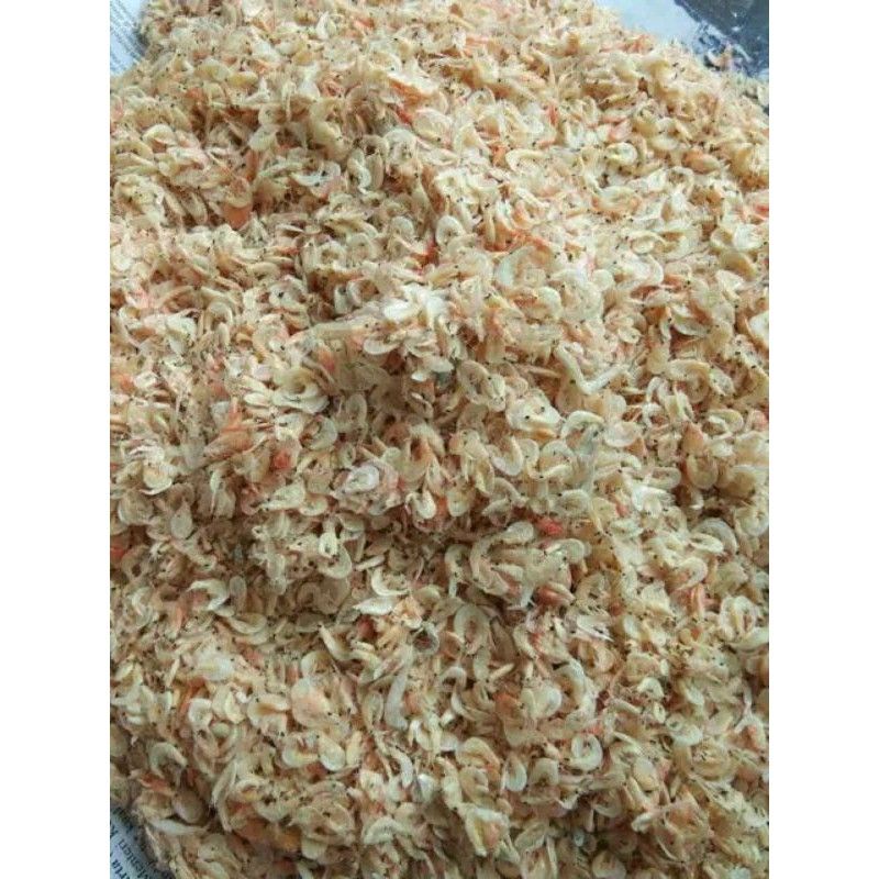 

udang rebon/udang papai