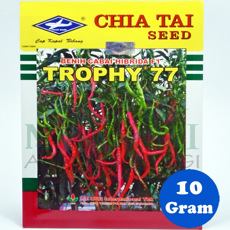 Benih Cabe Keriting Hibrida TROPHY 77 Cap Kapal Terbang Kemasan 10 Grm