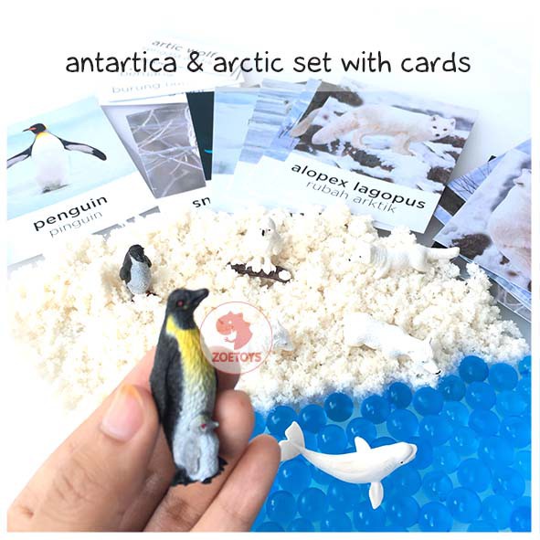 Zoetoys Sensory Play Small Arctic Antartica &amp; Arctic Set with Flashcards | Mainan Edukasi Anak Figurine Box Snow Salju | Cari Bingkisan Hampers Kado