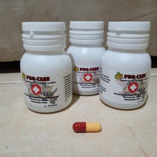 Pro Care Jkk / Procare Jkk Eceran / Vitamin Obat Kura Kura Piringungu