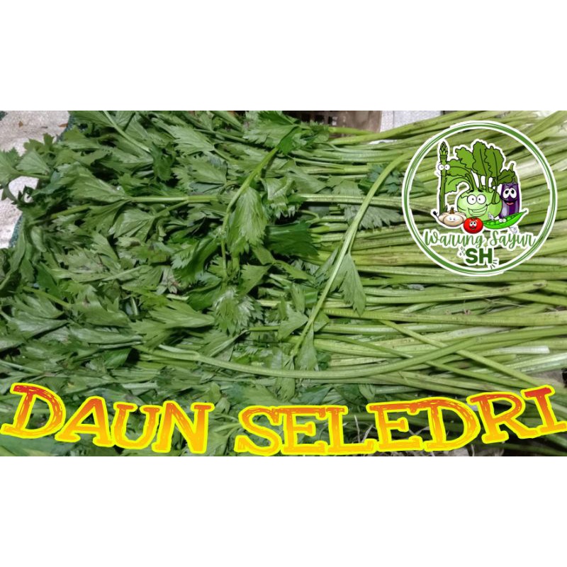 

Seledri 1kg | seledri tanpa akar | Fresh Vagetable
