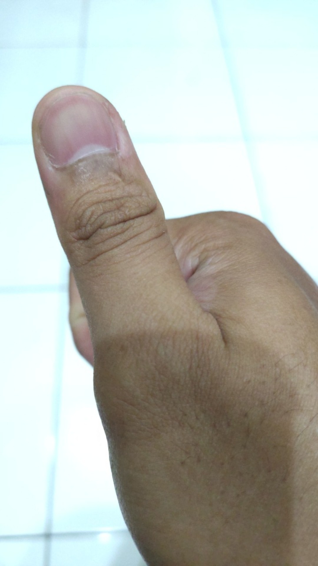 Botol Air 550ml - Collapsible Silicone Water Bottle 550ml