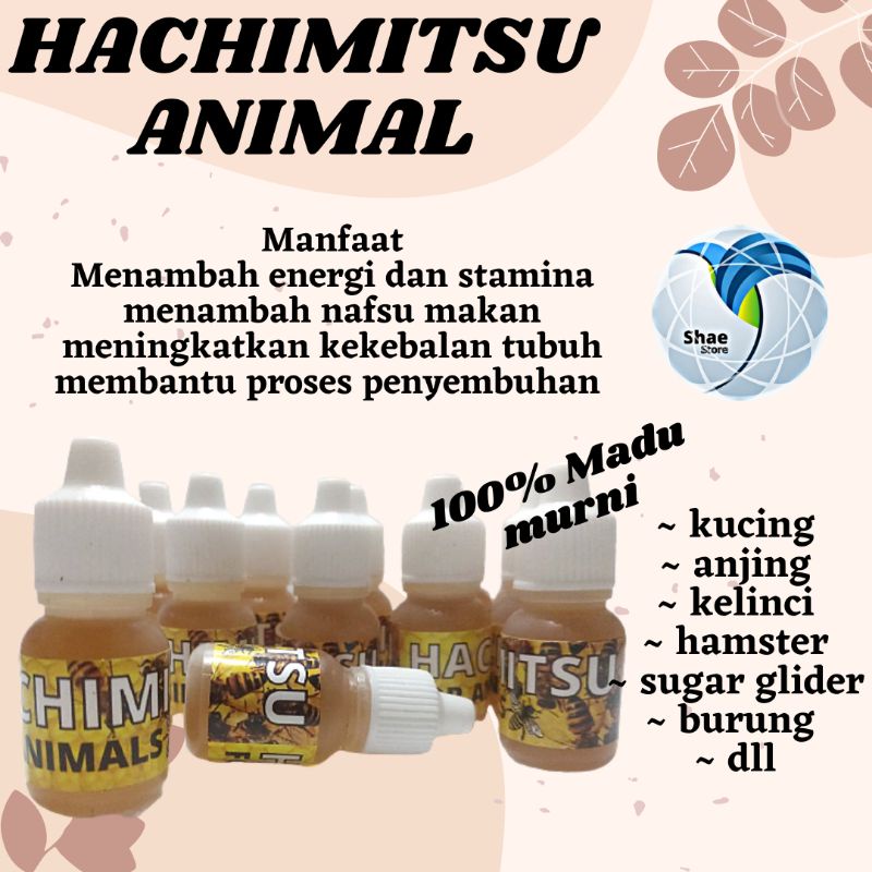 Vitamin Madu Prebiotik untuk Kuncing Anjing Kelinci Madu kucing anjing Vitamin Penunjang daya Tahan Tubuh