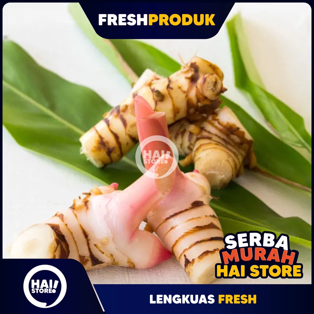 

Lengkuas lengkoas laja segar 1KG