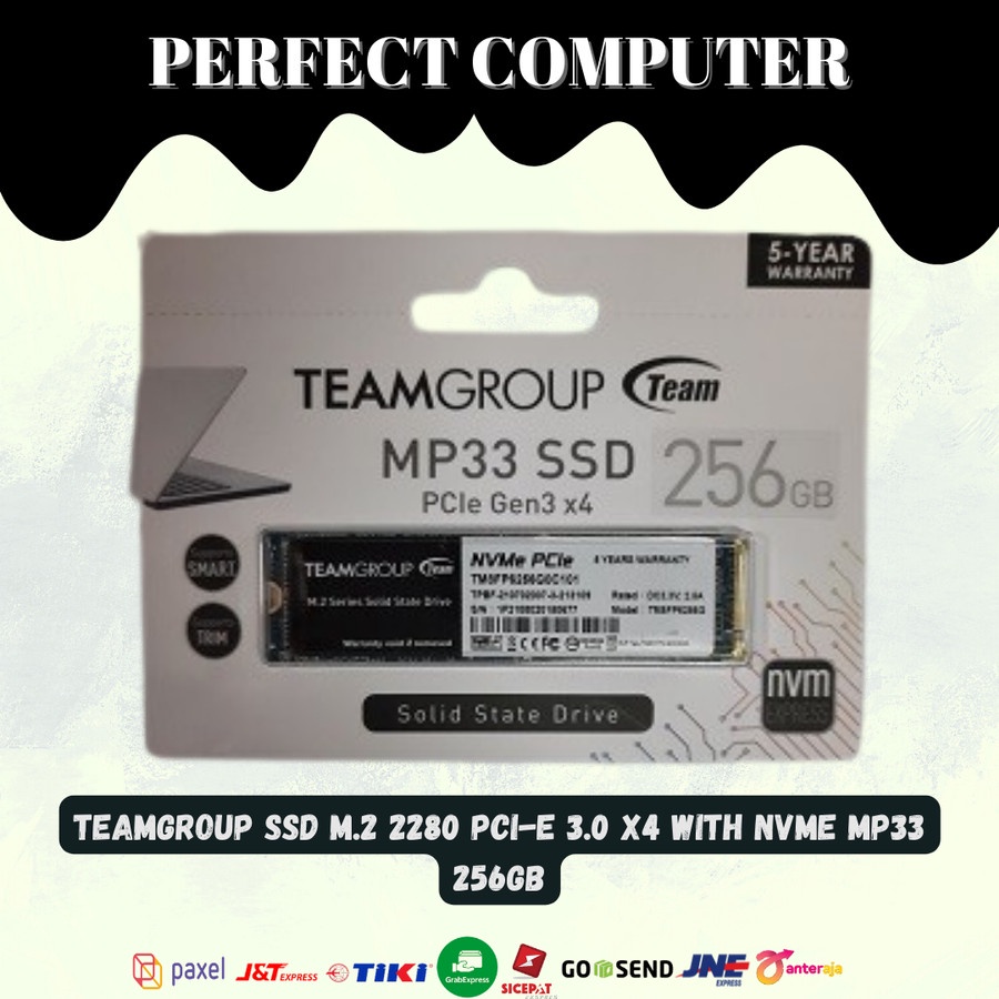 Teamgroup SSD M.2 2280 PCI-e 3.0 x4 with NVMe MP33 256GB