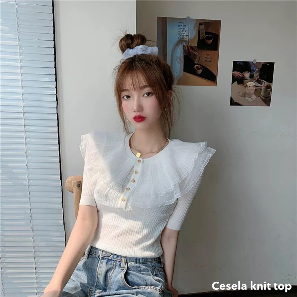 Cesela knit top -Thejanclothes