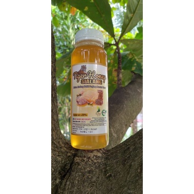 

Madu Hutan Tiger Honey Sialang 1Kg