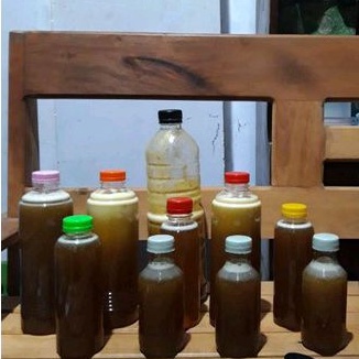 

madu klanceng/lebah trigona botol uc