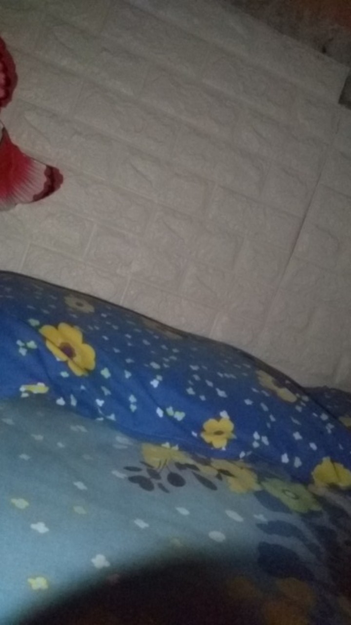 Pisau Logo Apel Buah Buahan Tajam Kecil Stainless Dapur Masak Dapur Makanan Apple