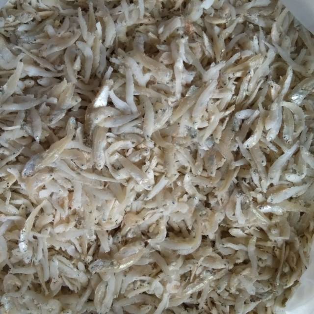 

ikan teri gepeng