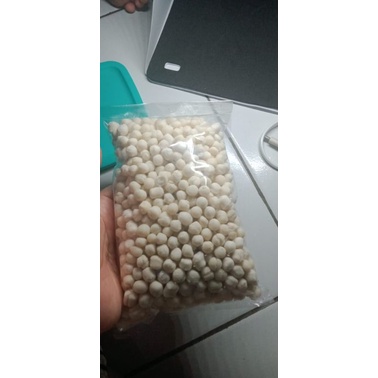 

pilus cikur ukuran sedang