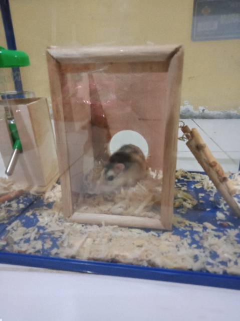 MAINAN HAMSTER - HIDING TOWER HAMSTER