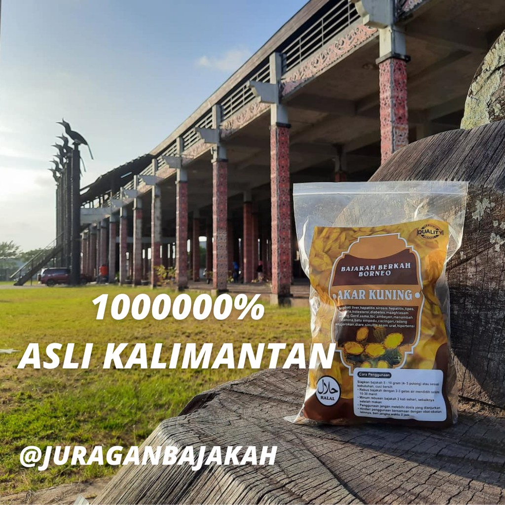 Akar Bajakah Kuning Super 1Kg Obat Herbal Diabetes, Asam Urat, Asam Lambung, Sakit Kuning-1