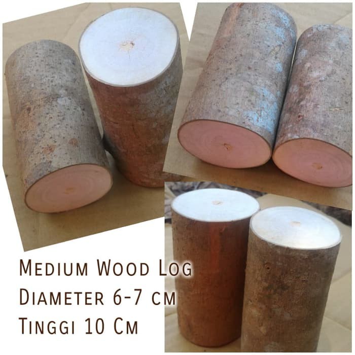 Medium wood log tinggi 10 cm diameter 6-7 cm dekorasi craft