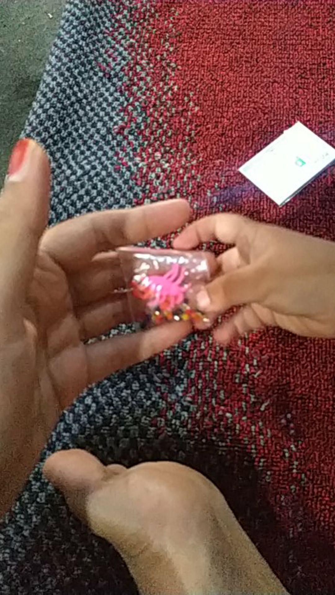 Hydrogel Warna Warni Dan Karakter Binatang