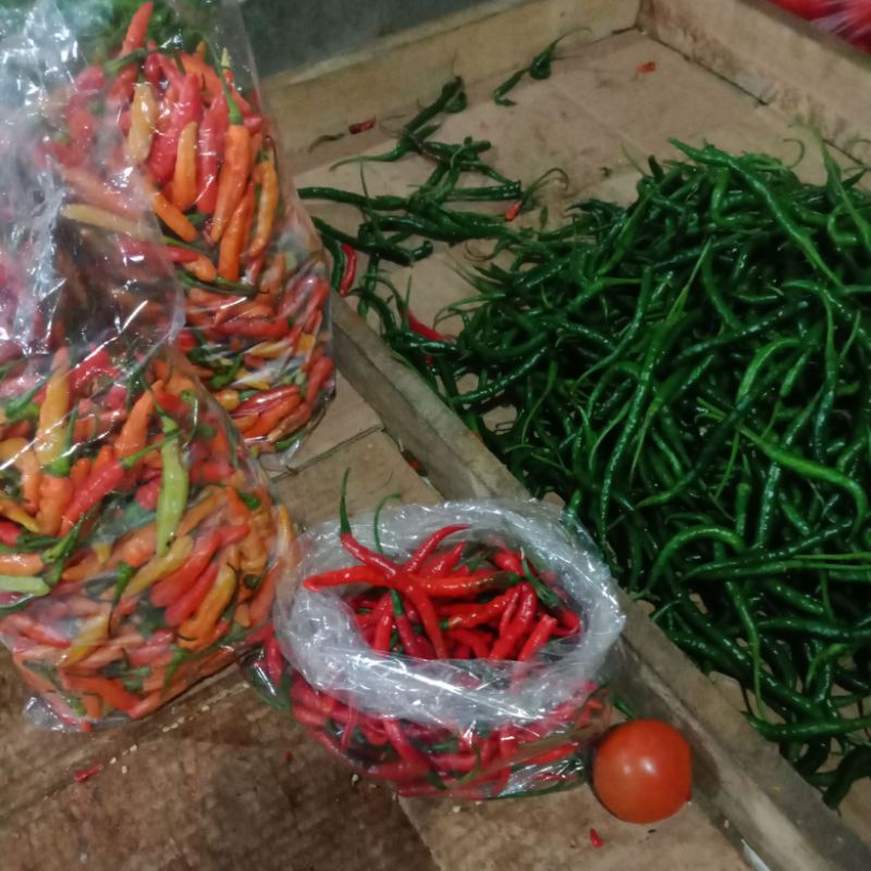 

CABE PERKILO