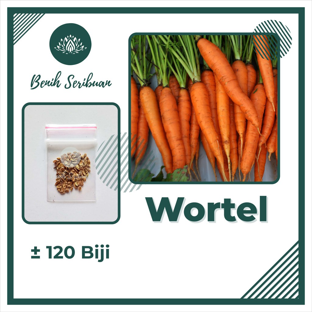 TERMURAH Bibit Sayuran Benih Sayur Paket Lengkap Tanaman Hidroponik Kangkung Bayam Cabe Sawi Unggul-WORTEL