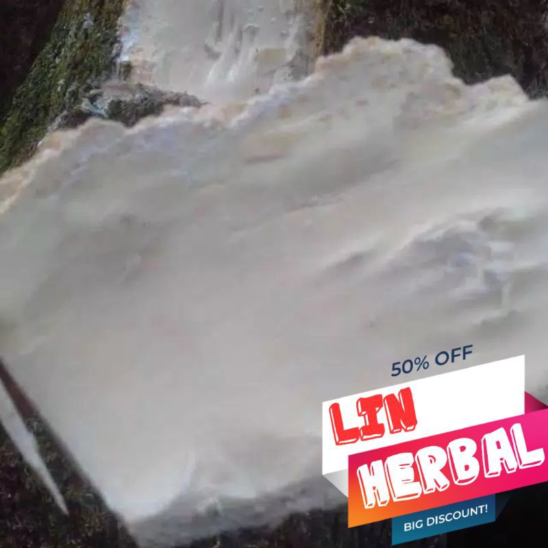 

Fromo jual kulit pohon lame fresh