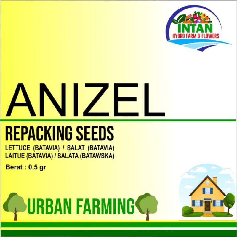 Benih Selada Bejo Anizel