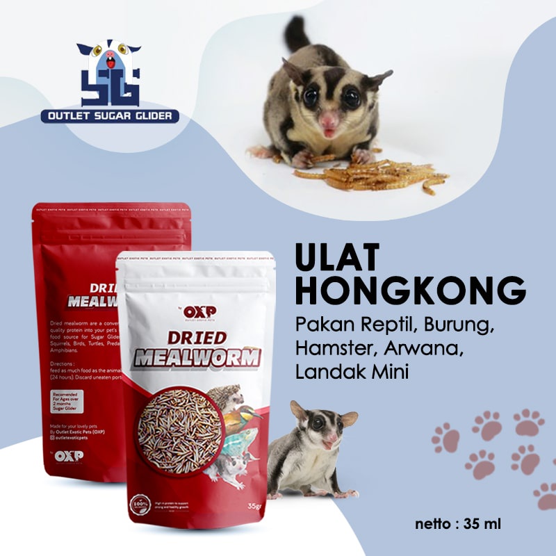 ULAT HONGKONG KERING SNACK HEWAN SUGAR GLIDER / HAMSTER / LANDAK MINI