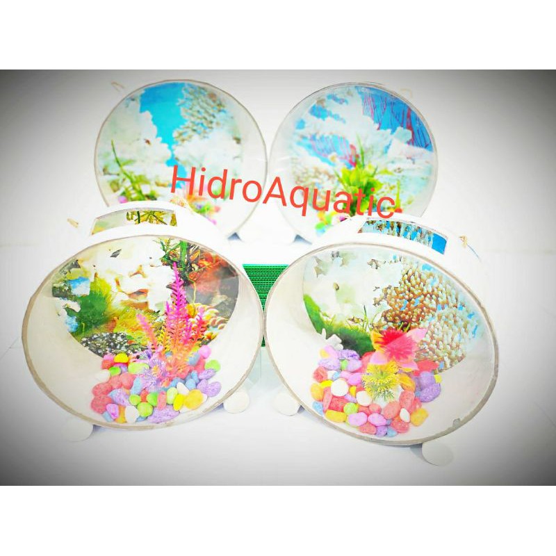 Aquarium mini / Aquarium cupang / Aquarium gantung diameter 6inch