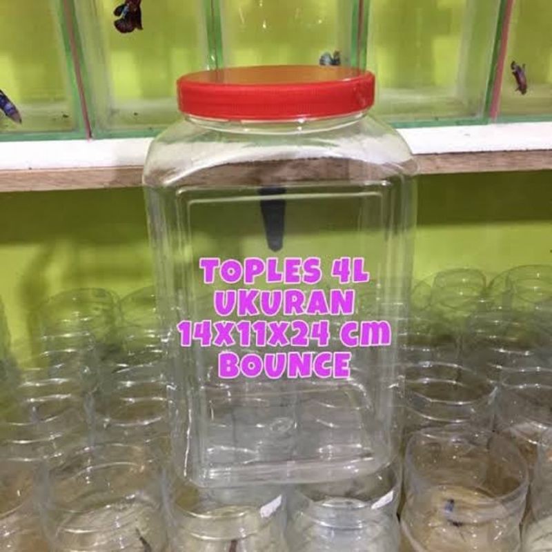 Toples cupang 4 liter + tutup