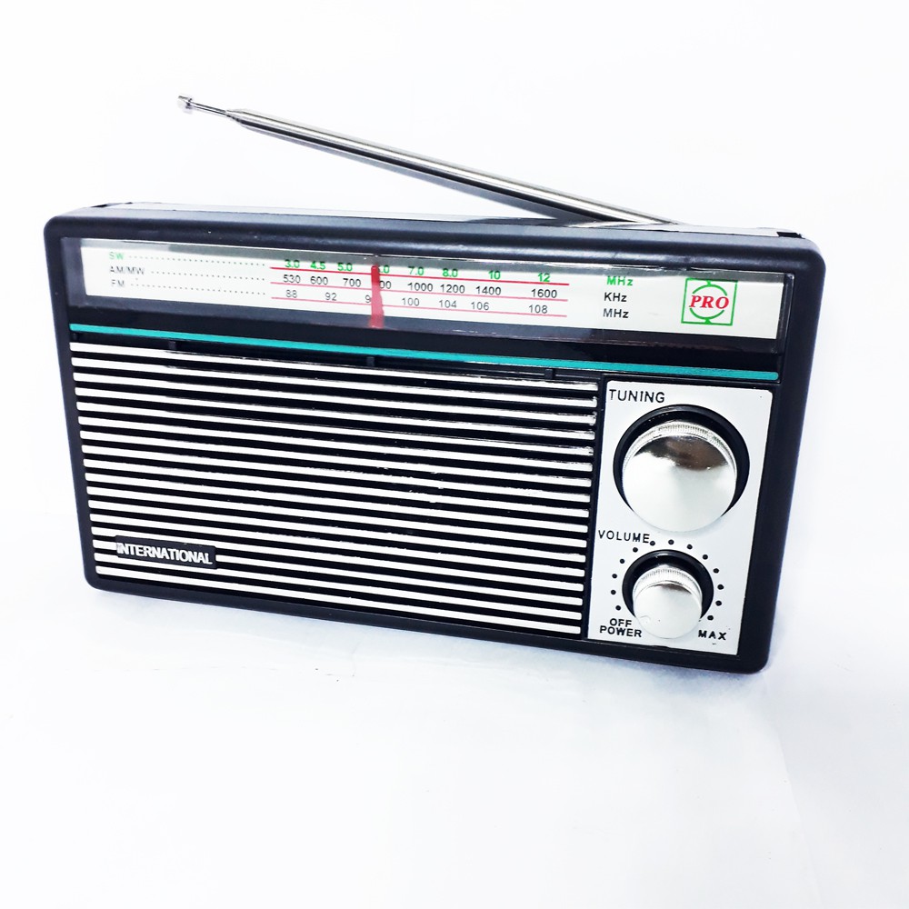 Radio International F 1211 Portable AM FM Portable Radio