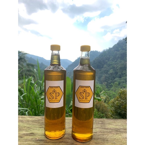 

Madu Tawon Original Natural Asli 100 % Murni Alami Dari Hutan 560 ml