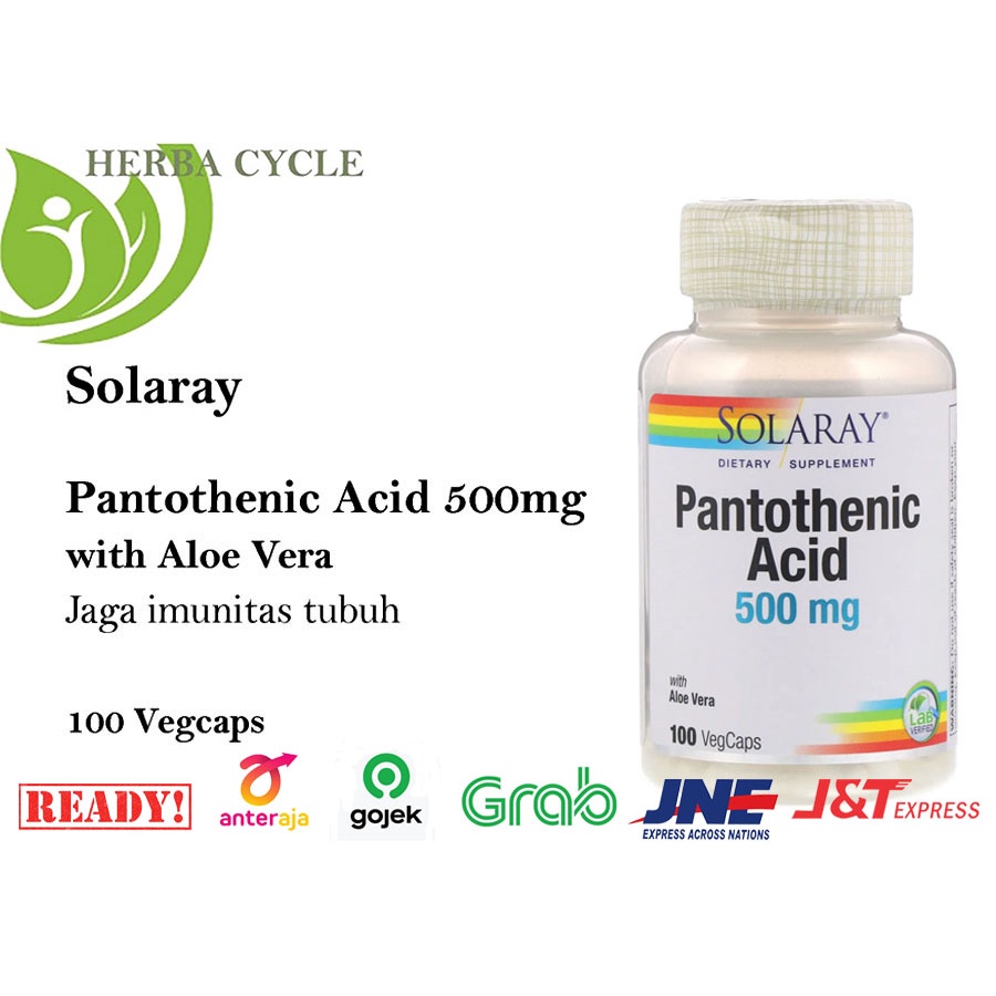 Solaray Pantothenic Acid 500mg 100 Veg Caps Jaga Sistim Metabolisme Imunitas Tubuh ORI USA