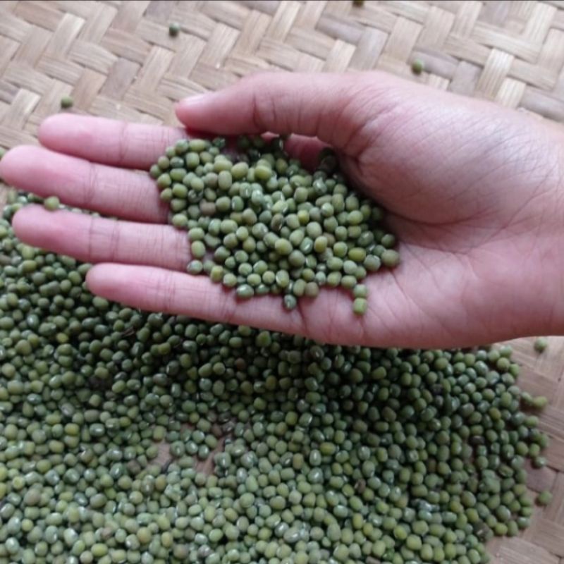 

LAKU Kacang Hijau Organik Bergizi Kaya Manfaat 1Kg