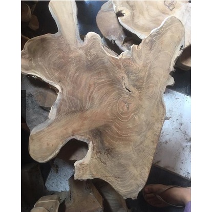 SLICE WOOD AKAR KAYU JATI BERBAGAI BENTUK UNIK ESTETIK - TOP TABLE BINTANGAN AKAR KAYU MENTAHAN AKAR