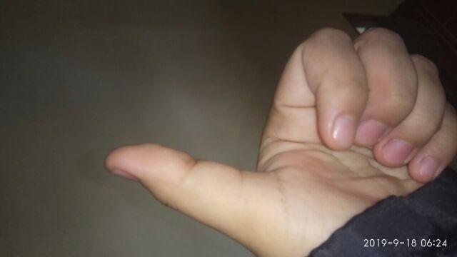 [2 Pack] Garpu Kecil Plastik [+/1 160 Pcs]