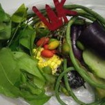 

Paket Sayur Asem