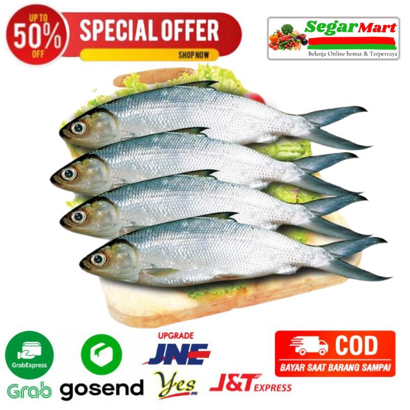 

ikan bandeng losari fresh segarmart bandung