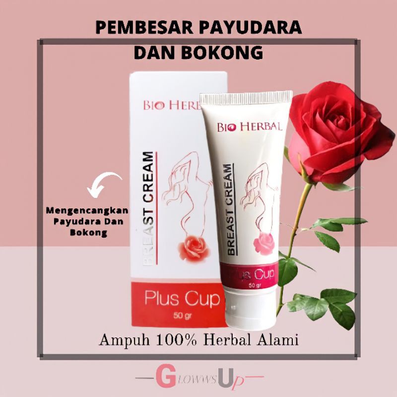 PENGENCANG PAYUDARA BIO HERBAL BREAST CREAM PLUS CUP 50GR ORIGNAL - PEMBESAR PAYUDARA