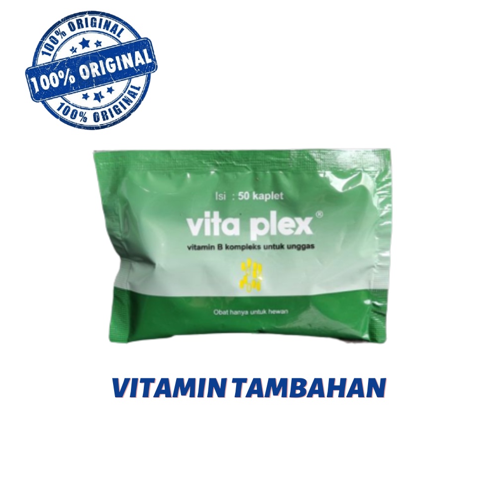 VITA PLEX 50 kapsul