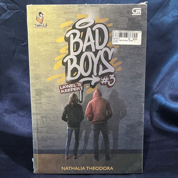TEENLIT: BAD BOYS
