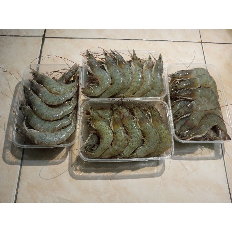 

udang vaname fresh 500gram