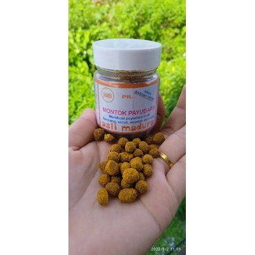 Jamu pembesar payudara alami