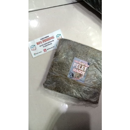 PELET MAGOT GACOR