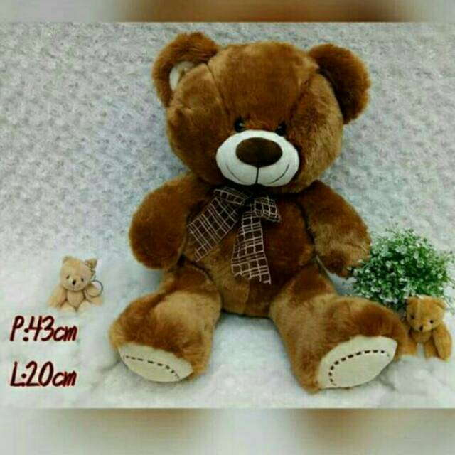 

Bear Vonel pita L16