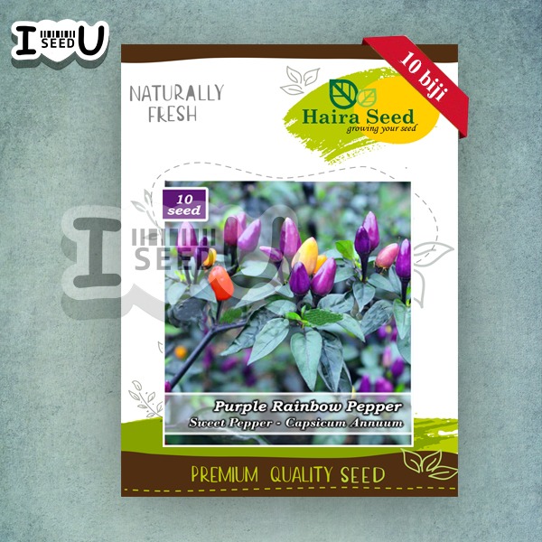 Haira Seed Bibit-Biji Cabe Hias Pelangi Purple Rainbow