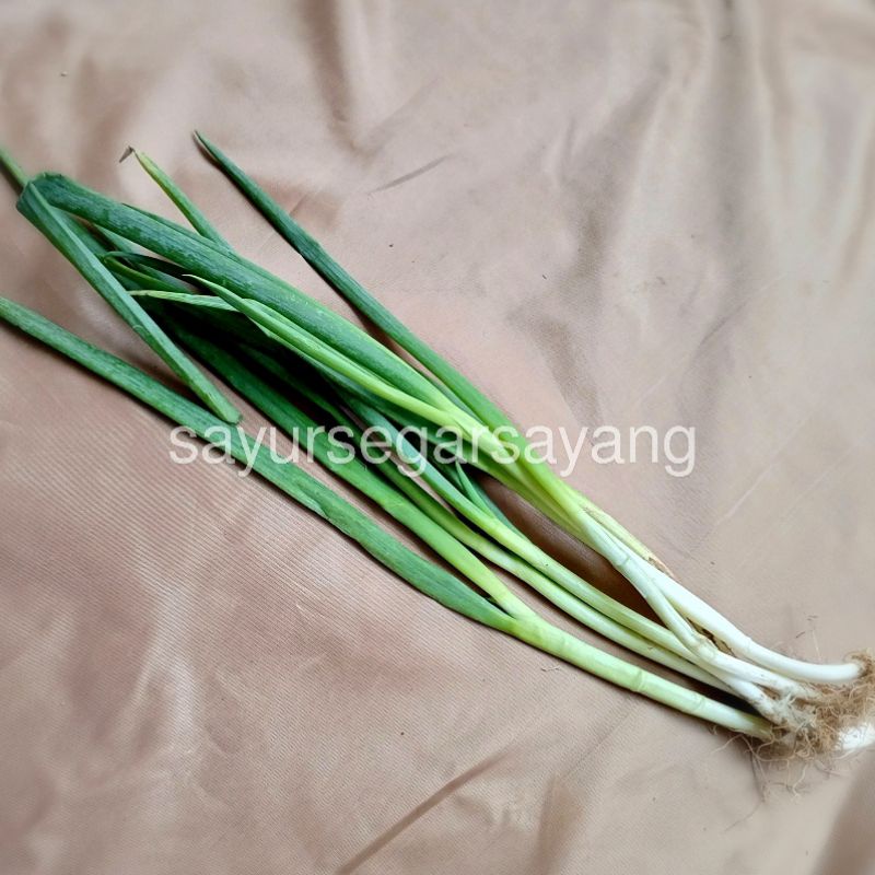 

Daun Bawang 500gr